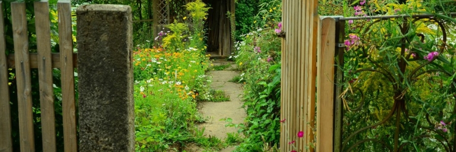 Bonus verde 2022: la prima guida completa